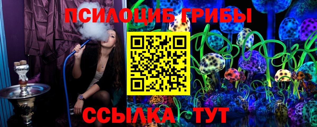 Псилоцибиновые грибы Psilocybe Зеленодольск